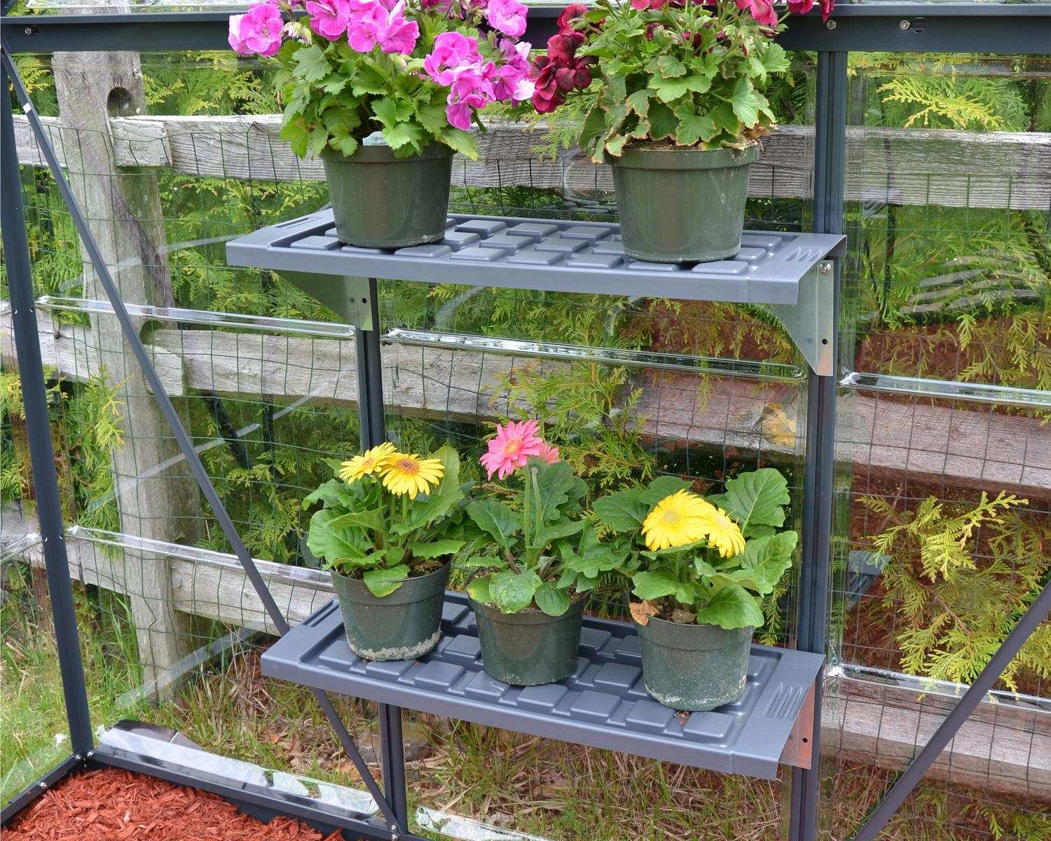 Palram Twin Shelf Kit