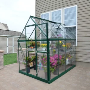 Palram 6x8 Harmony Greenhouse - Green (Clear Glazing)