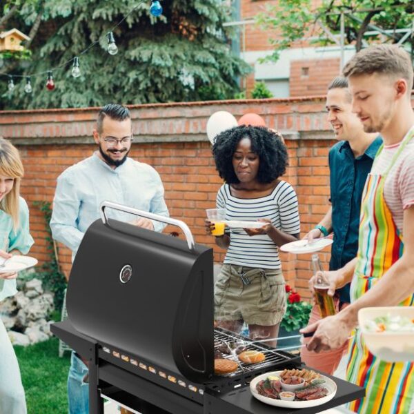 Protect Metal Outdoor 3-Burner Propane Gas Grill with Lid and Side Tables - Image 3