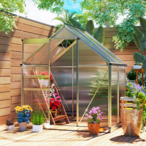 Outsunny 6'x4'  Clear Walk-In Polycarbonate Greenhouse - Silver Tone